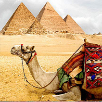 Egypt Christmas Holidays